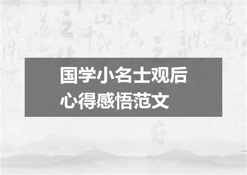 国学小名士观后心得感悟范文