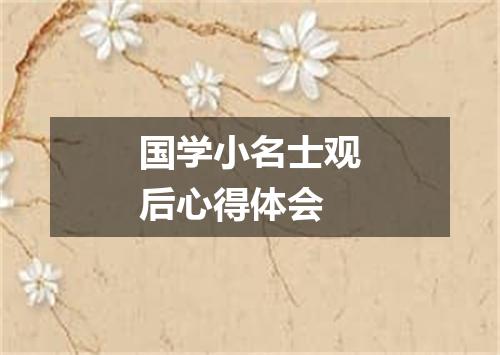 国学小名士观后心得体会