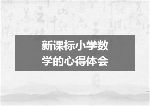新课标小学数学的心得体会