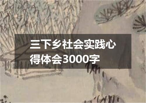 三下乡社会实践心得体会3000字