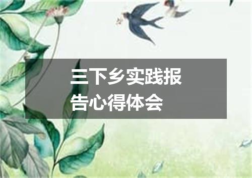 三下乡实践报告心得体会