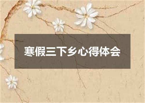 寒假三下乡心得体会