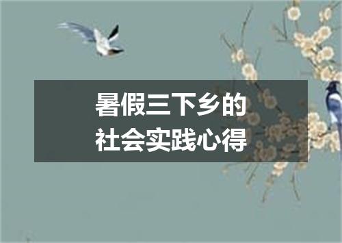 暑假三下乡的社会实践心得