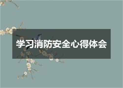 学习消防安全心得体会