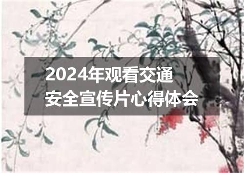 2024年观看交通安全宣传片心得体会