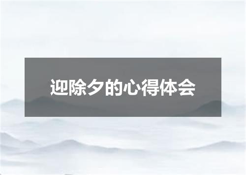 迎除夕的心得体会
