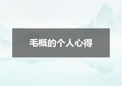 毛概的个人心得