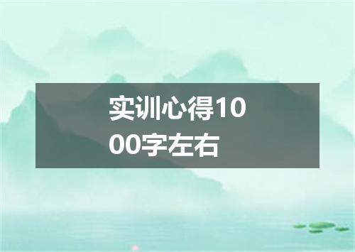 实训心得1000字左右