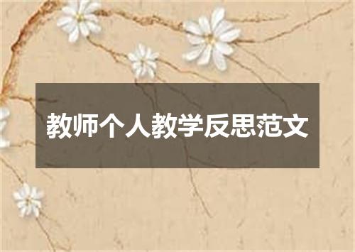 教师个人教学反思范文