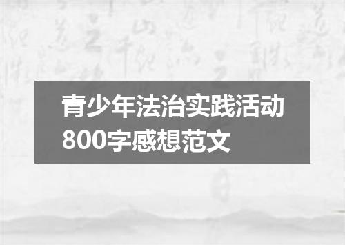 青少年法治实践活动800字感想范文