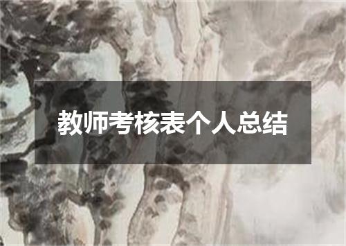 教师考核表个人总结