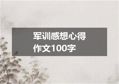 军训感想心得作文100字