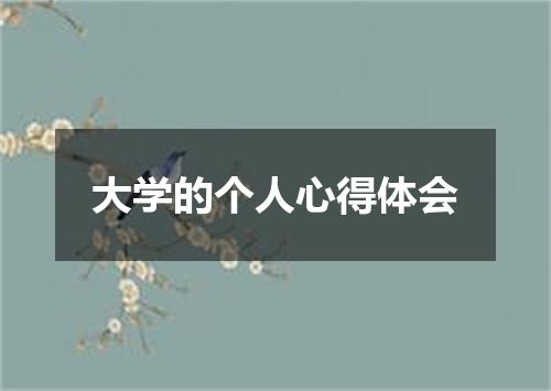 大学的个人心得体会