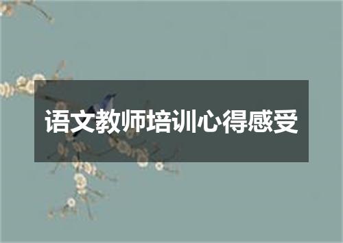 语文教师培训心得感受