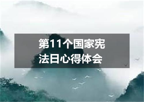 第11个国家宪法日心得体会