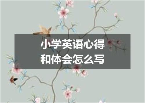小学英语心得和体会怎么写