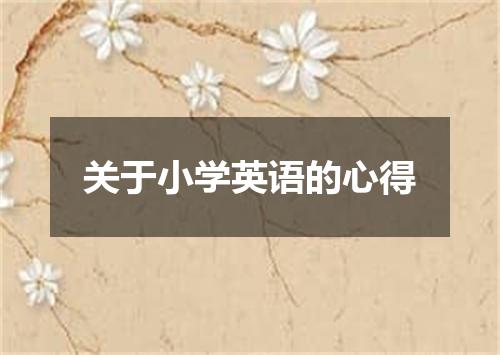 关于小学英语的心得