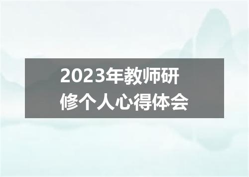 2023年教师研修个人心得体会