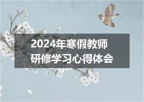 2024年寒假教师研修学习心得体会