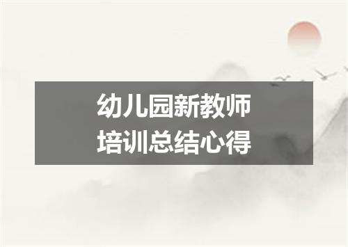 幼儿园新教师培训总结心得