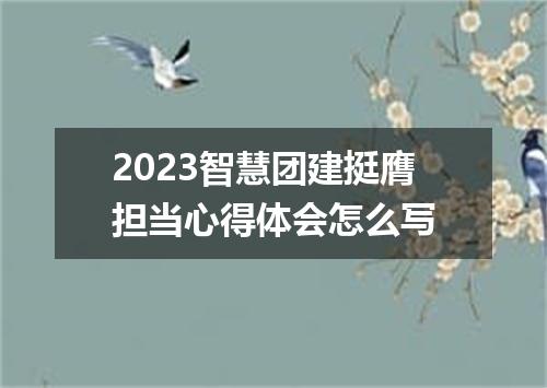 2023智慧团建挺膺担当心得体会怎么写