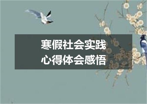 寒假社会实践心得体会感悟