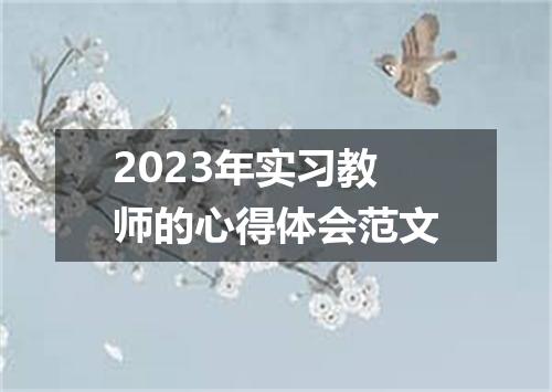 2023年实习教师的心得体会范文