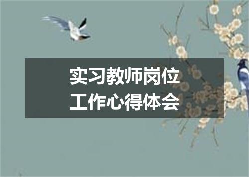 实习教师岗位工作心得体会
