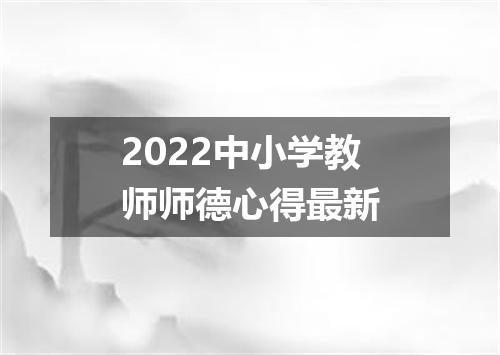 2022中小学教师师德心得最新