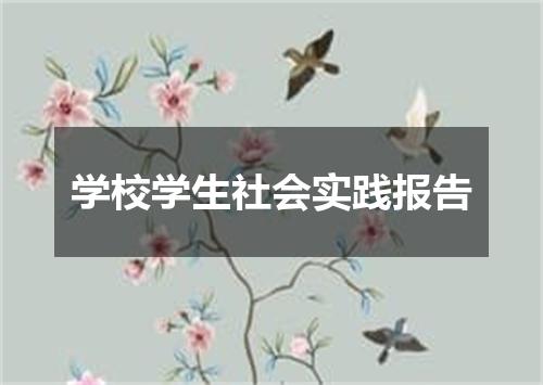 学校学生社会实践报告