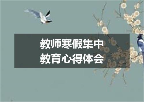 教师寒假集中教育心得体会