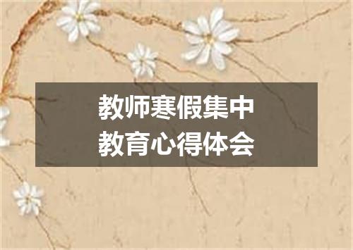 教师寒假集中教育心得体会