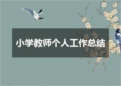 小学教师个人工作总结