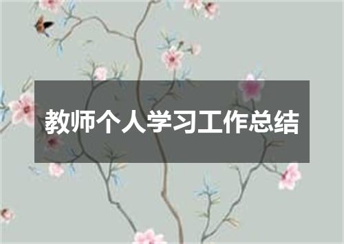 教师个人学习工作总结