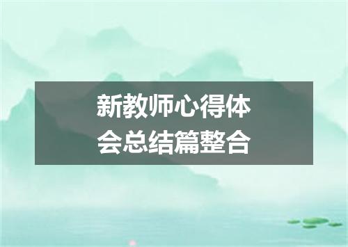 新教师心得体会总结篇整合
