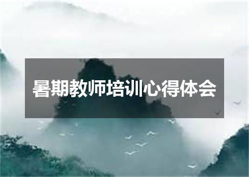 暑期教师培训心得体会
