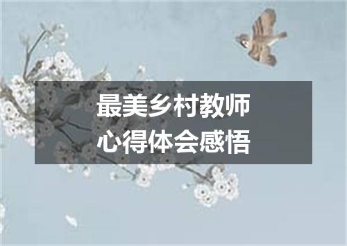 最美乡村教师心得体会感悟