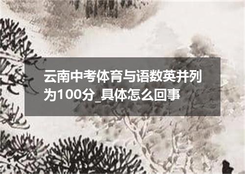 云南中考体育与语数英并列为100分_具体怎么回事