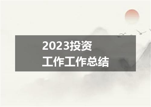 2023投资工作工作总结