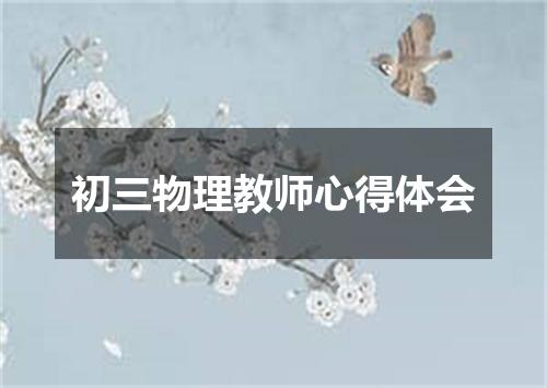初三物理教师心得体会