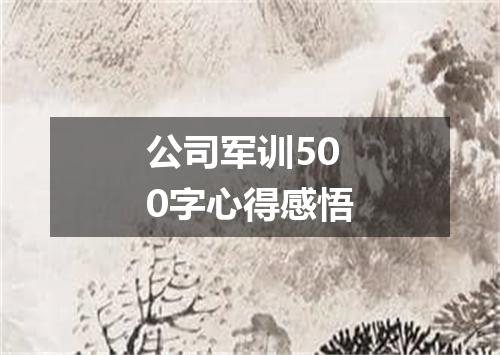 公司军训500字心得感悟
