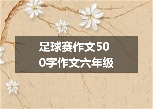 足球赛作文500字作文六年级