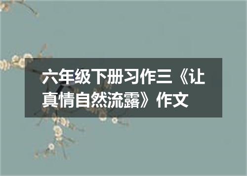 六年级下册习作三《让真情自然流露》作文