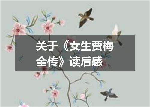 关于《女生贾梅全传》读后感