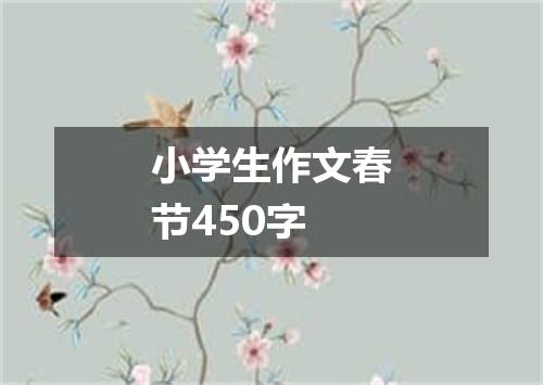 小学生作文春节450字