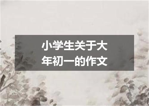 小学生关于大年初一的作文