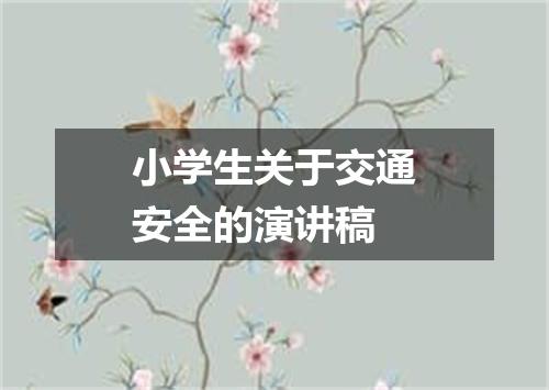 小学生关于交通安全的演讲稿