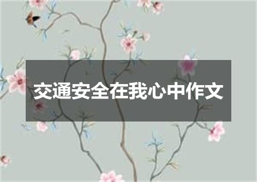 交通安全在我心中作文