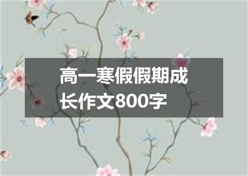 高一寒假假期成长作文800字