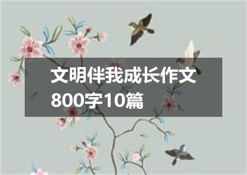 文明伴我成长作文800字10篇
